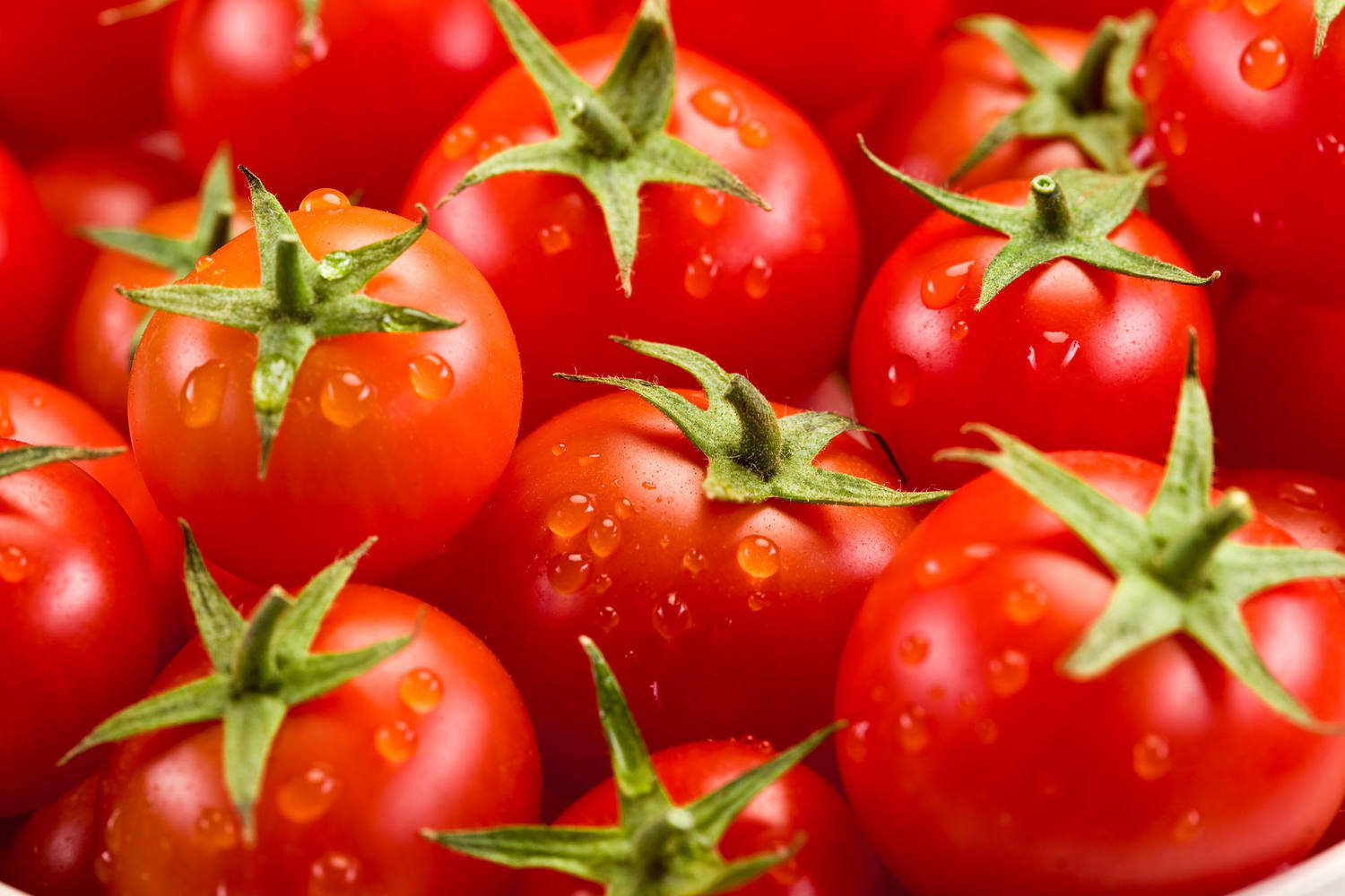 BIO Tomaten kist 6 kilogram 3